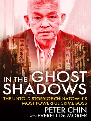 In the Ghost Shadows - ebook